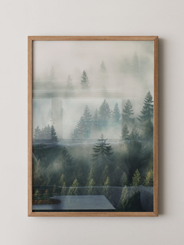 Nebelwald Morgengrauen