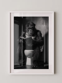 Gorilla liest Schwarzweiß
