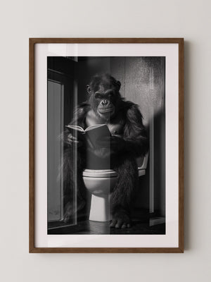 Gorilla liest Schwarzweiß