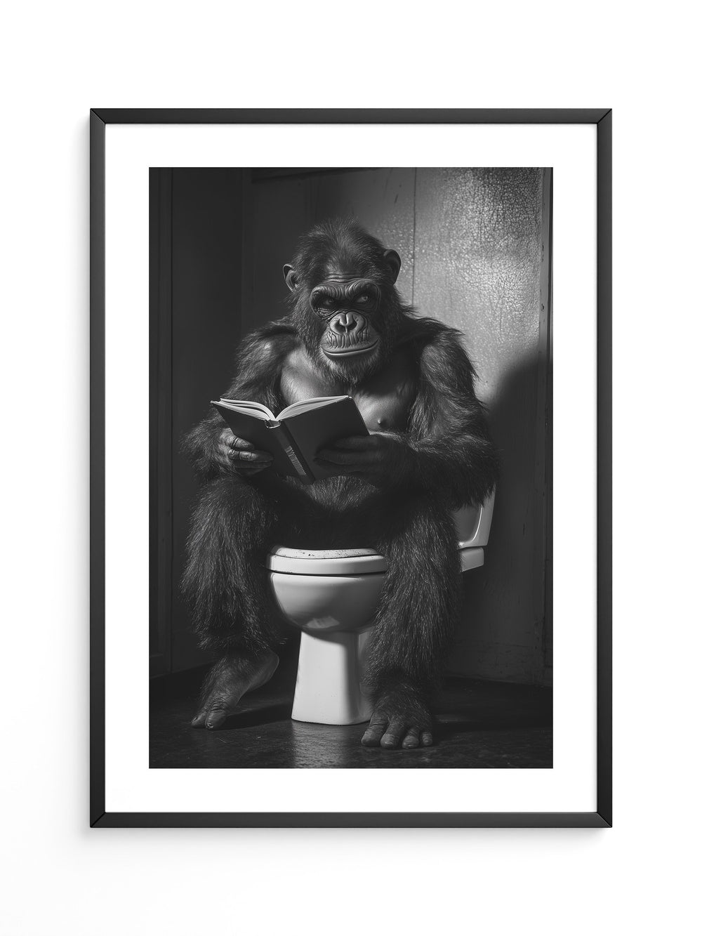 Gorilla liest Schwarzweiß