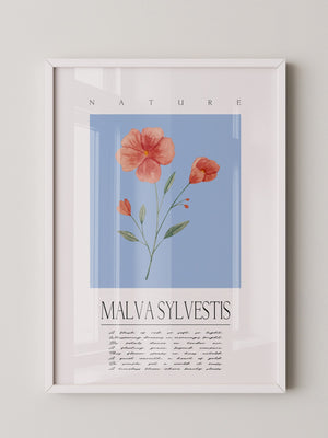 Malve Aquarell blau Hintergrund