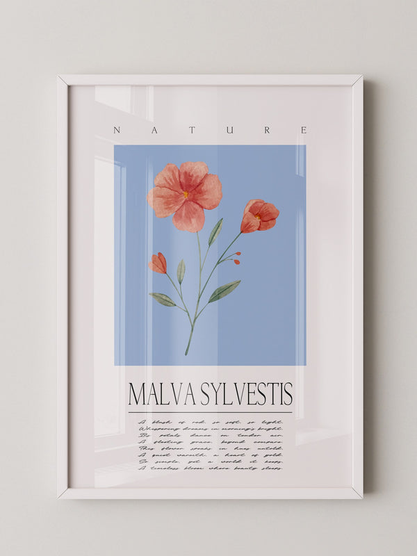 Malve Aquarell blau Hintergrund
