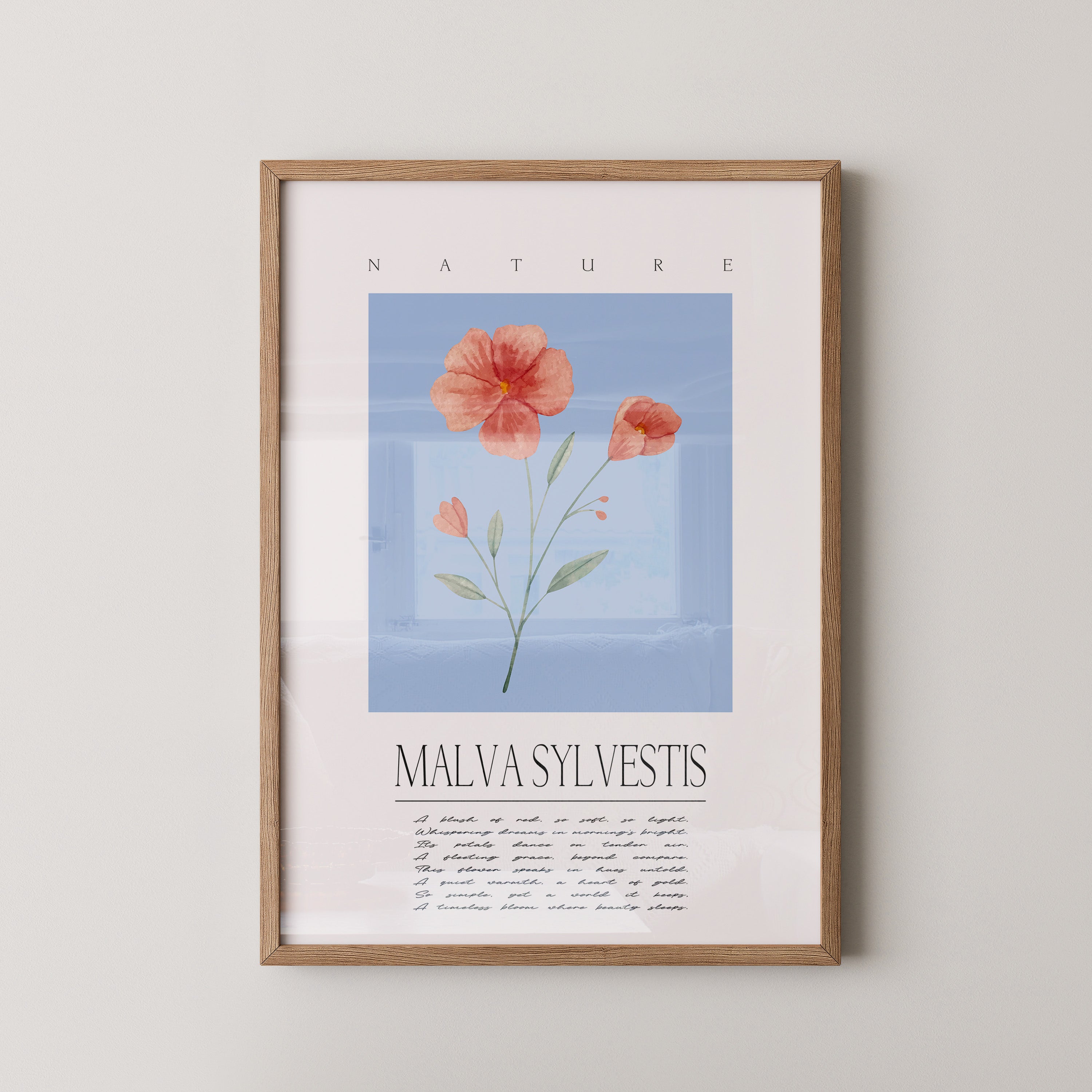 Malve Aquarell blau Hintergrund