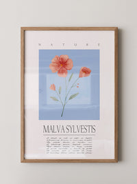 Malve Aquarell blau Hintergrund