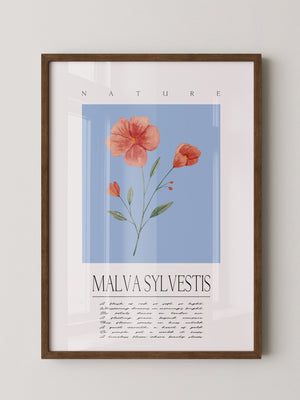 Malve Aquarell blau Hintergrund