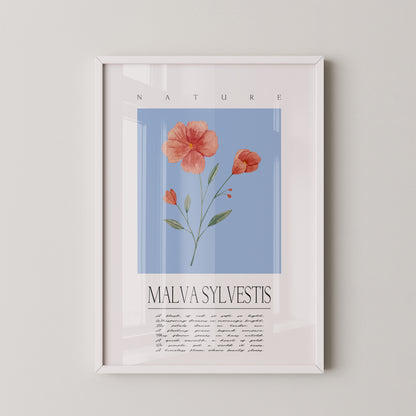 Malve Aquarell blau Hintergrund