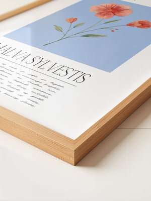 Malve Aquarell blau Hintergrund