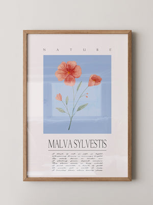 Malve Aquarell blau Hintergrund