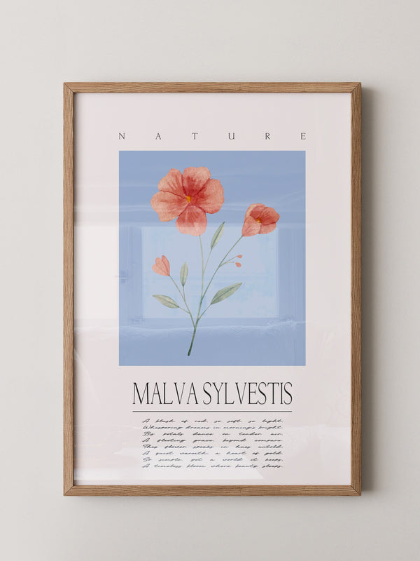 Malve Aquarell blau Hintergrund
