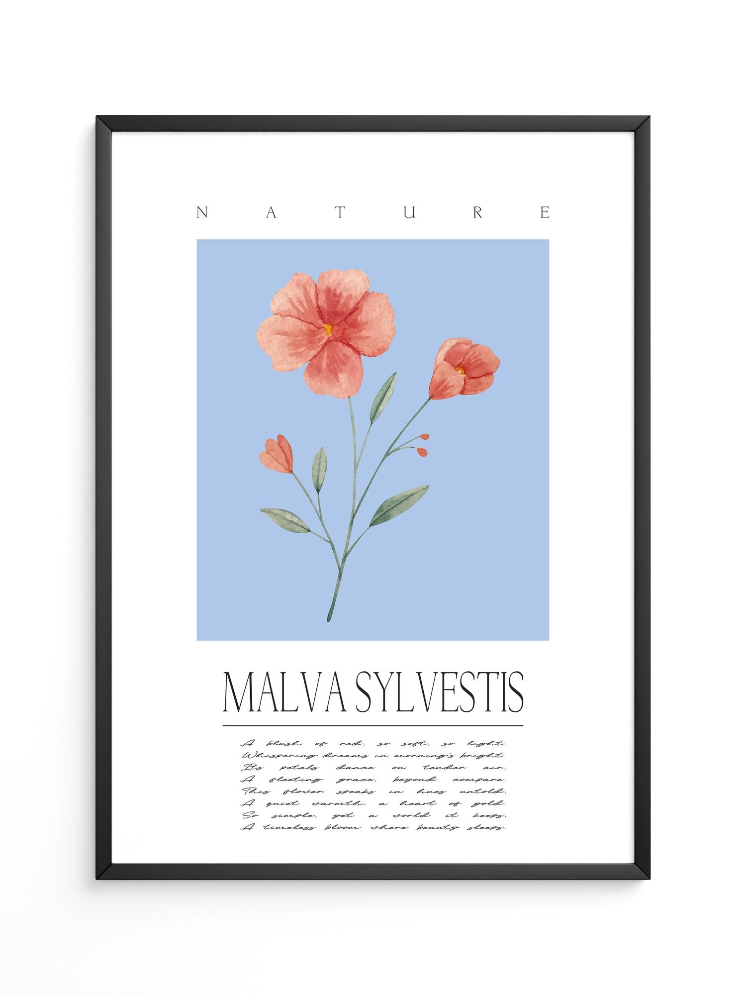 Malve Aquarell blau Hintergrund