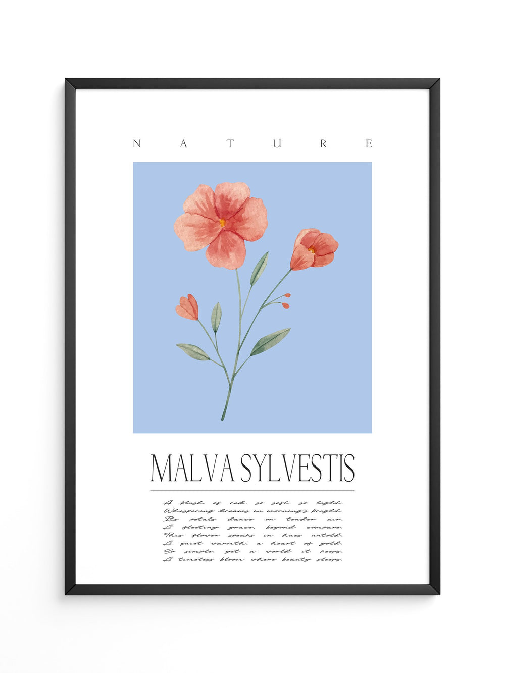 Malve Aquarell blau Hintergrund