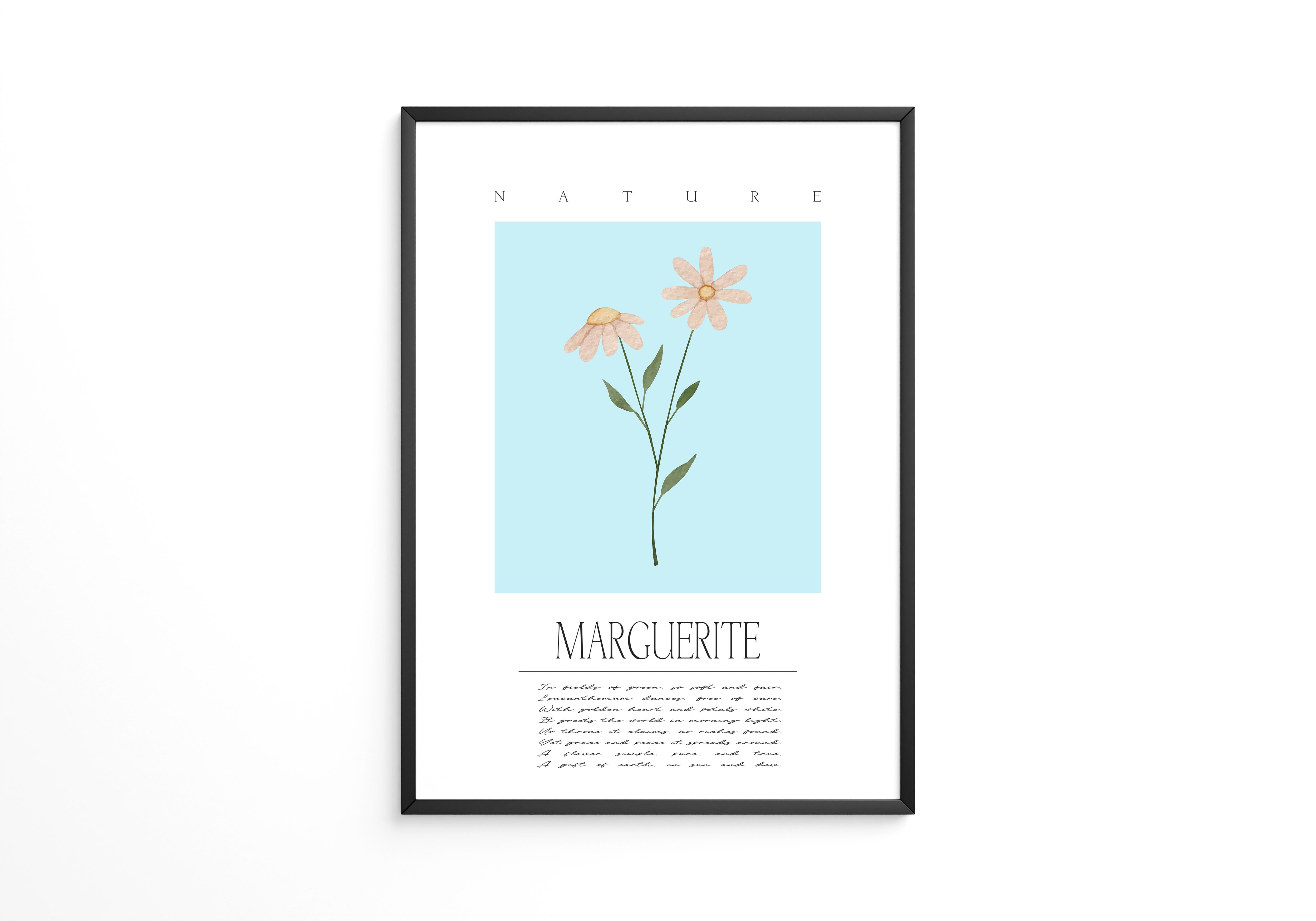 Margueriten Pastell Aquarelloptik