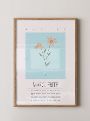 Margueriten Pastell Aquarelloptik