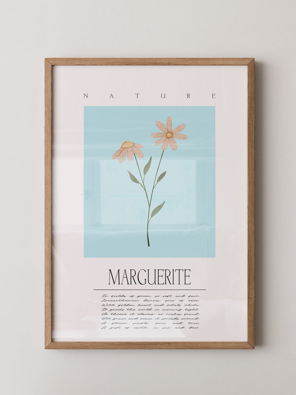 Margueriten Pastell Aquarelloptik