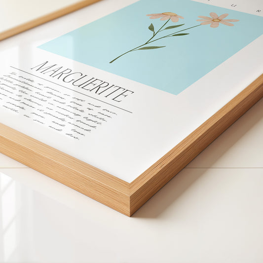 Margueriten Pastell Aquarelloptik