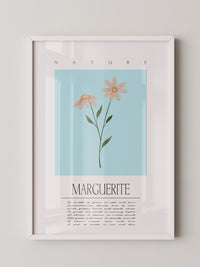 Margueriten Pastell Aquarelloptik