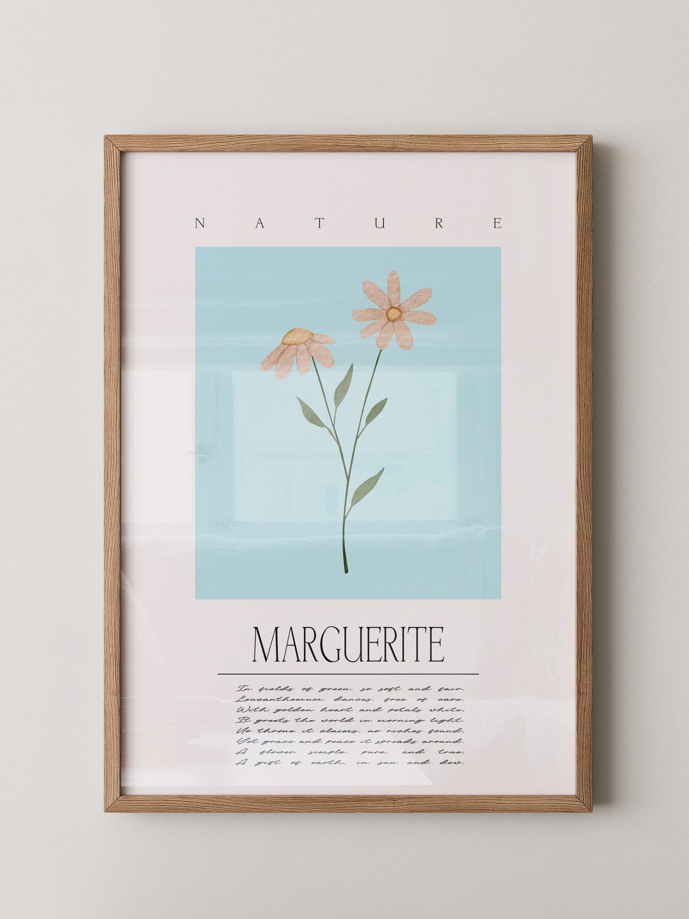 Margueriten Pastell Aquarelloptik