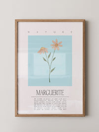 Margueriten Pastell Aquarelloptik