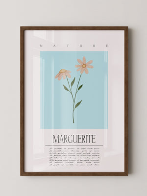 Margueriten Pastell Aquarelloptik