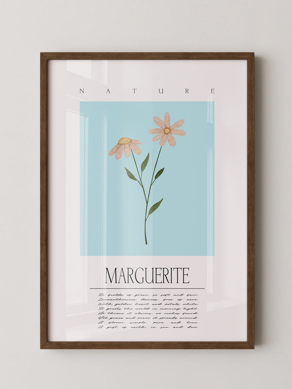 Margueriten Pastell Aquarelloptik