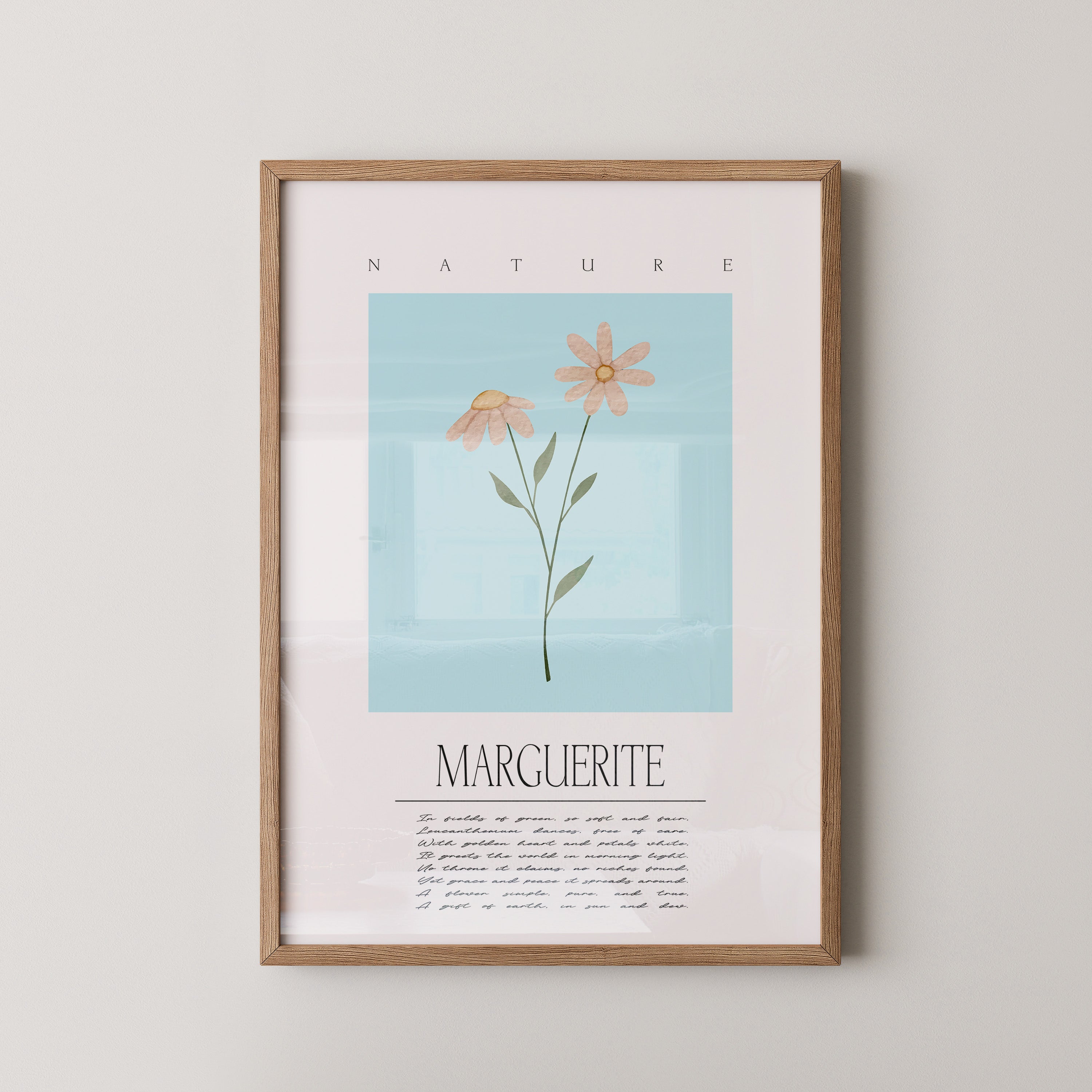 Margueriten Pastell Aquarelloptik