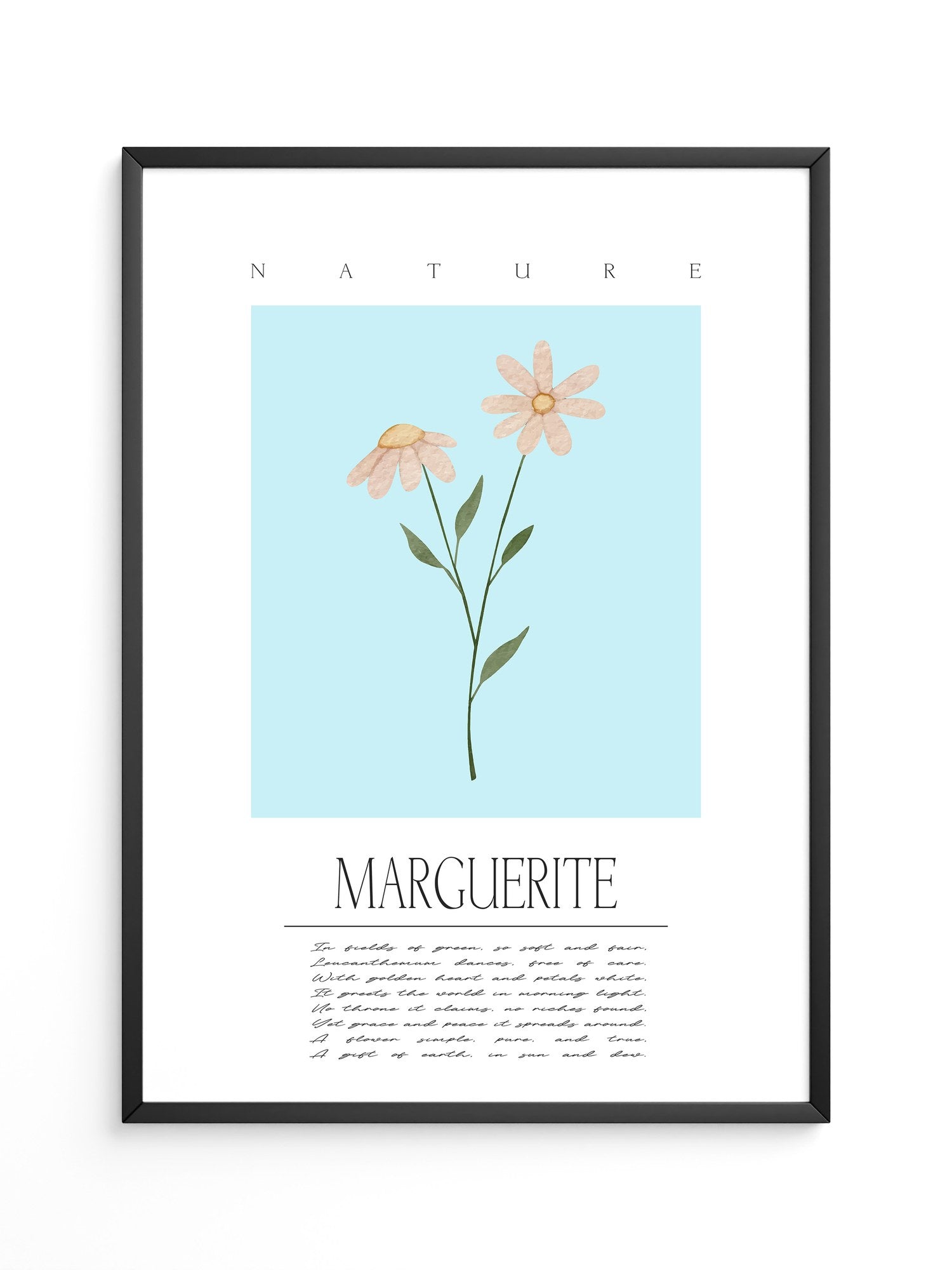 Margueriten Pastell Aquarelloptik