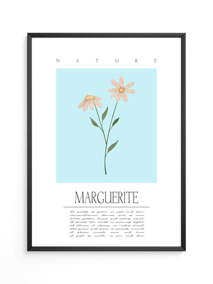 Margueriten Pastell Aquarelloptik
