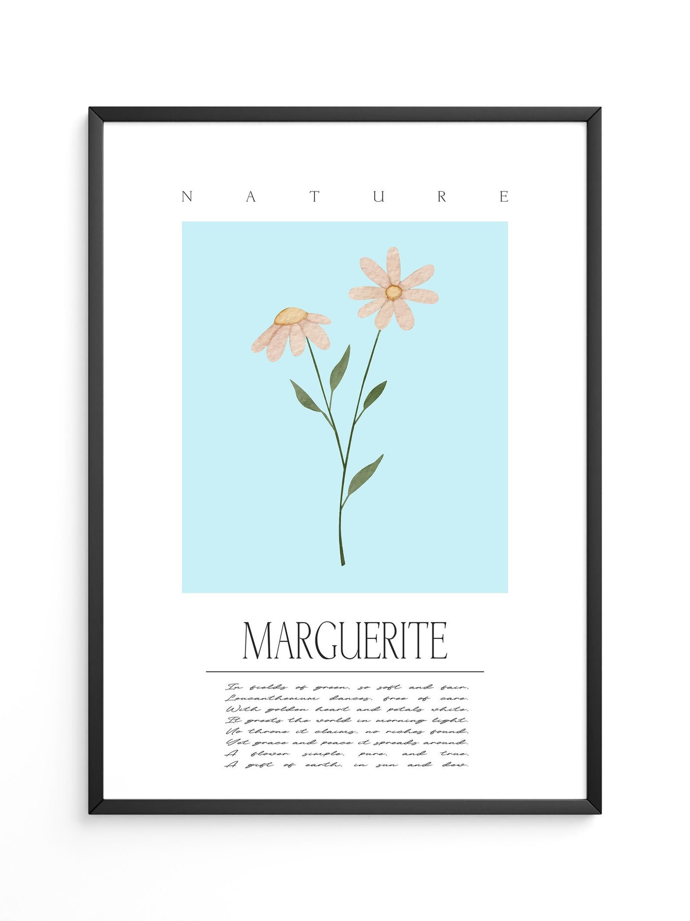 Margueriten Pastell Aquarelloptik