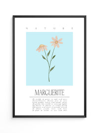 Margueriten Pastell Aquarelloptik