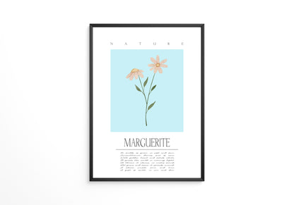 Margueriten Pastell Aquarelloptik