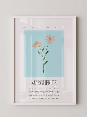 Margueriten Pastell Aquarelloptik