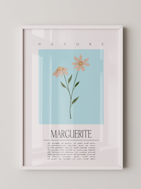 Margueriten Pastell Aquarelloptik