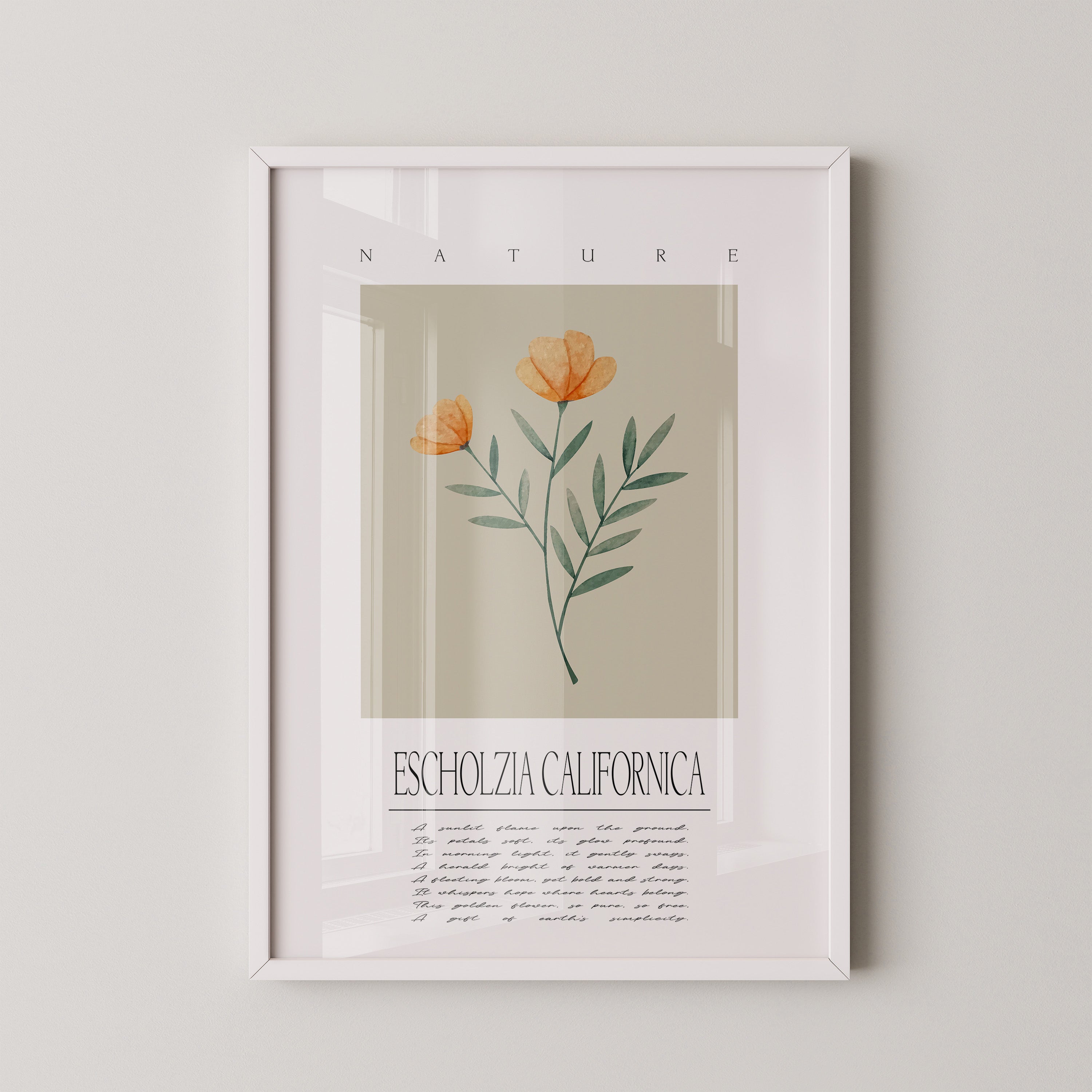 Kalifornischer Mohn Aquarell