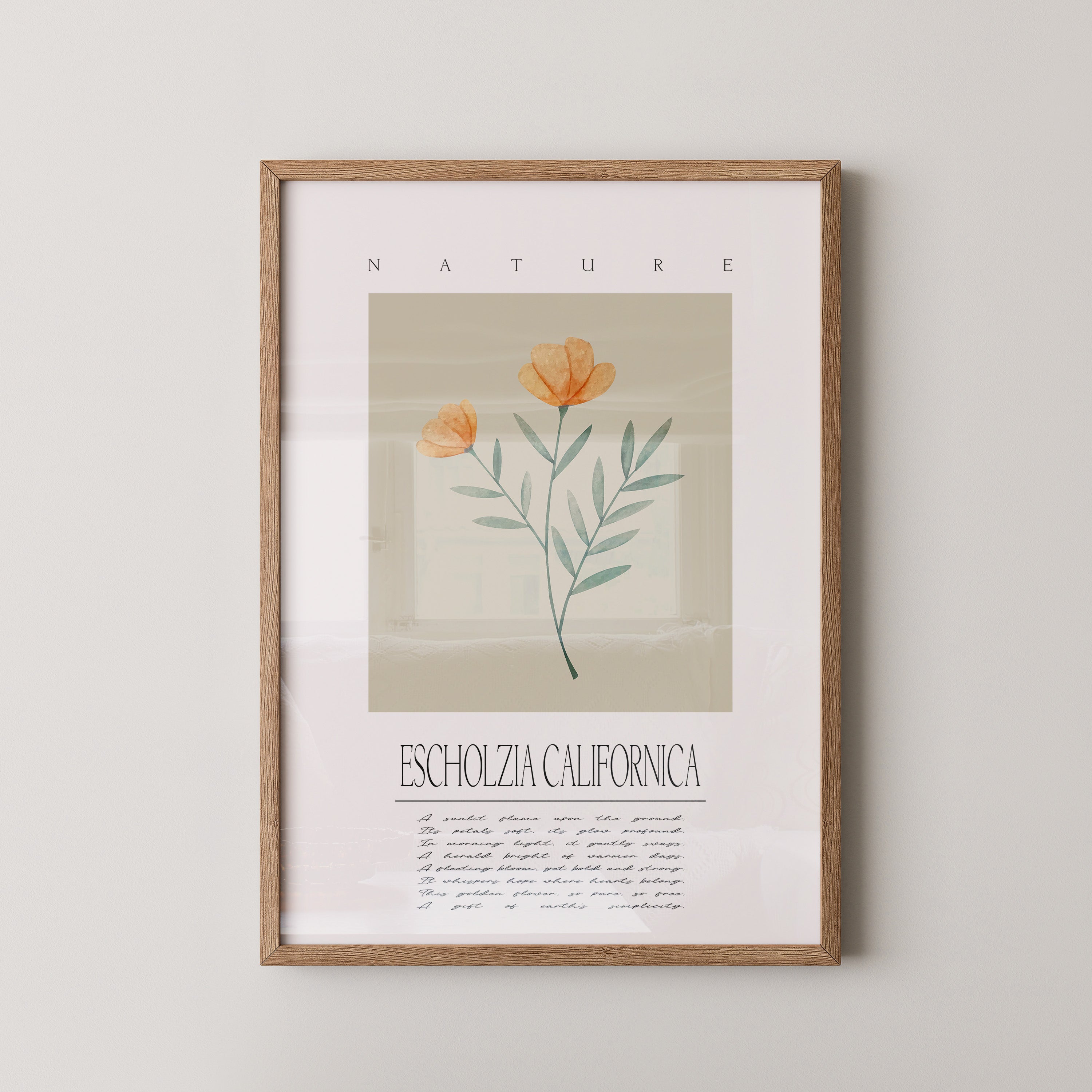 Kalifornischer Mohn Aquarell