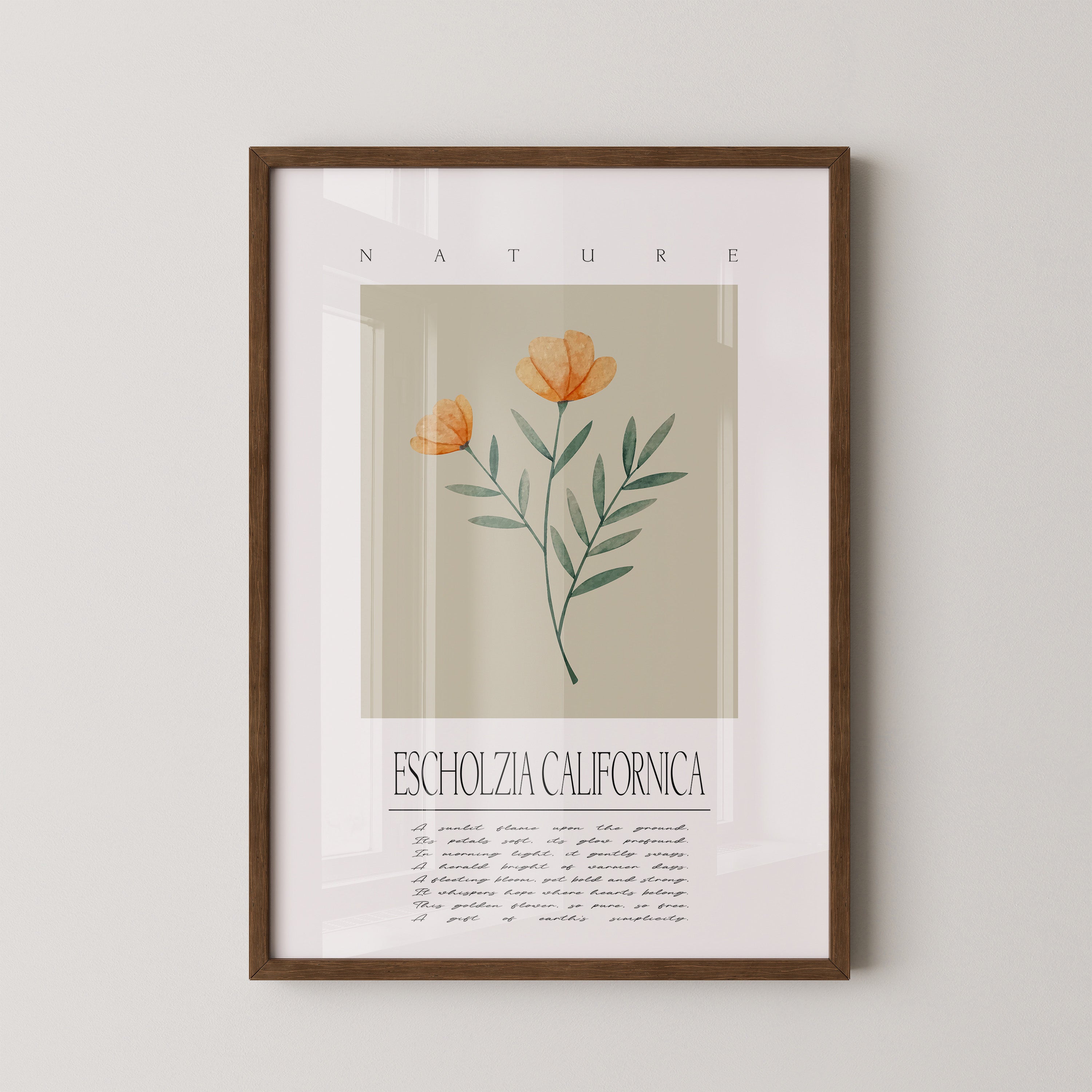 Kalifornischer Mohn Aquarell