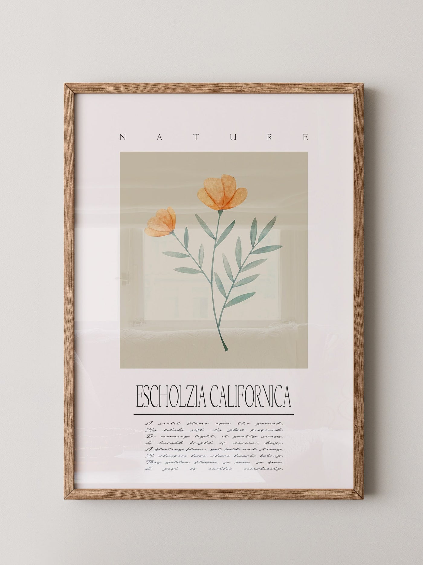 Kalifornischer Mohn Aquarell