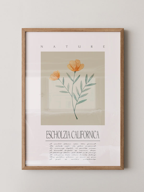 Kalifornischer Mohn Aquarell