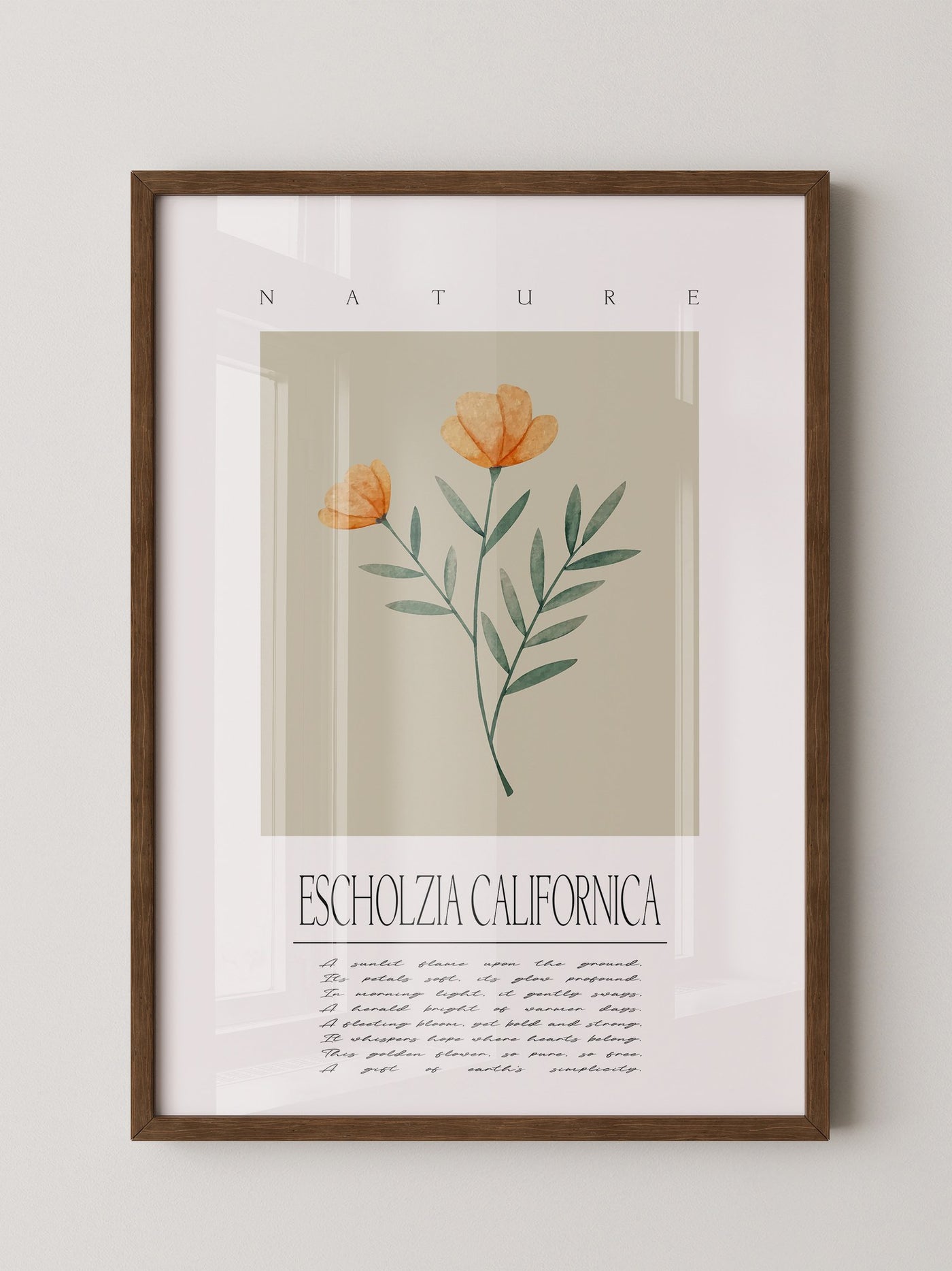 Kalifornischer Mohn Aquarell