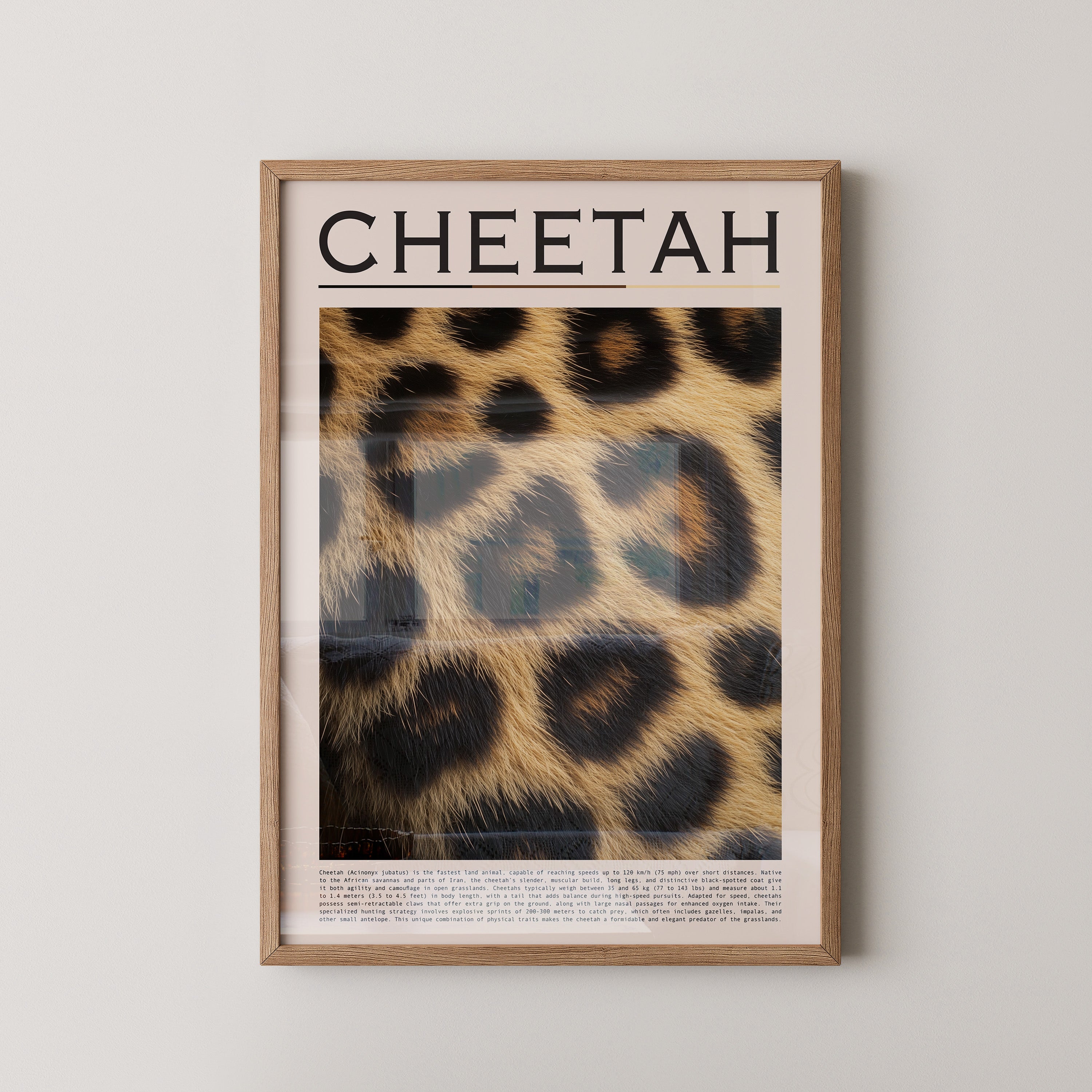 Gepardenfell Nahaufnahme Textur