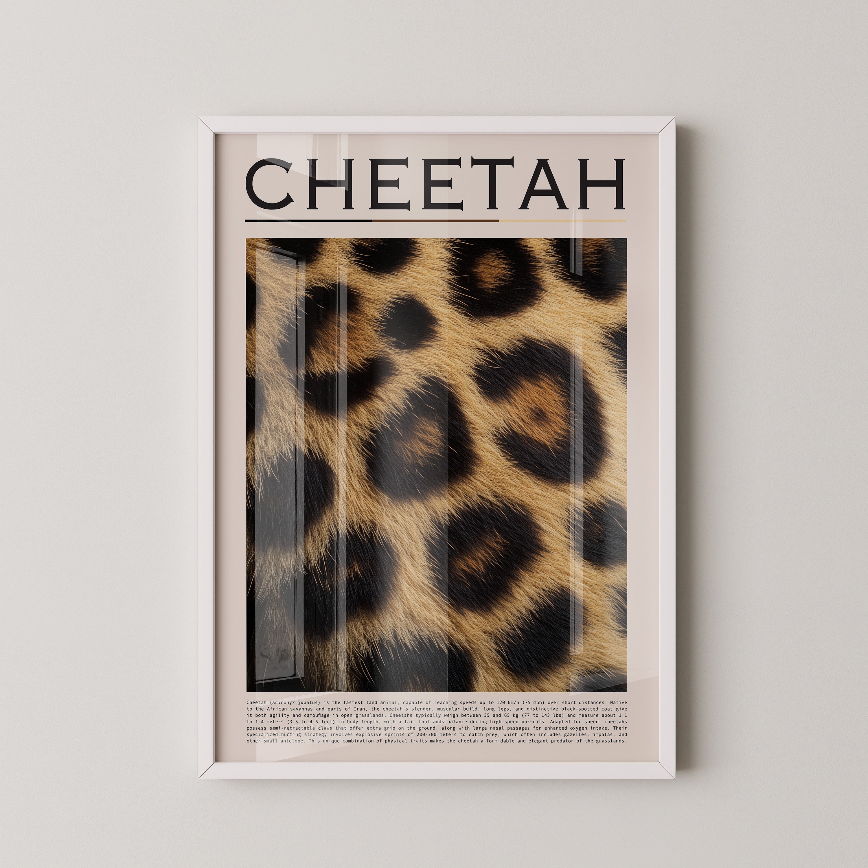 Gepardenfell Nahaufnahme Textur