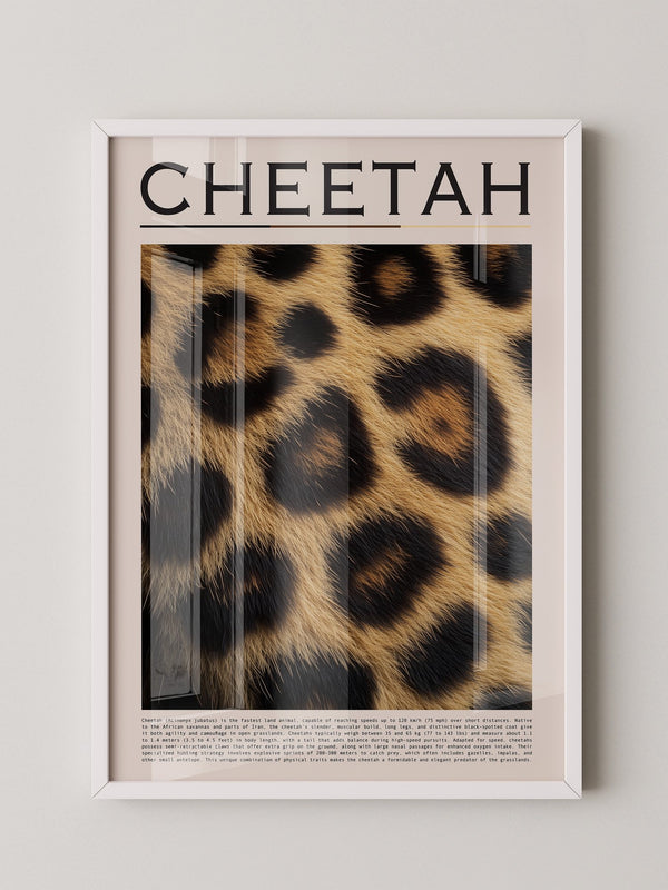 Gepardenfell Nahaufnahme Textur