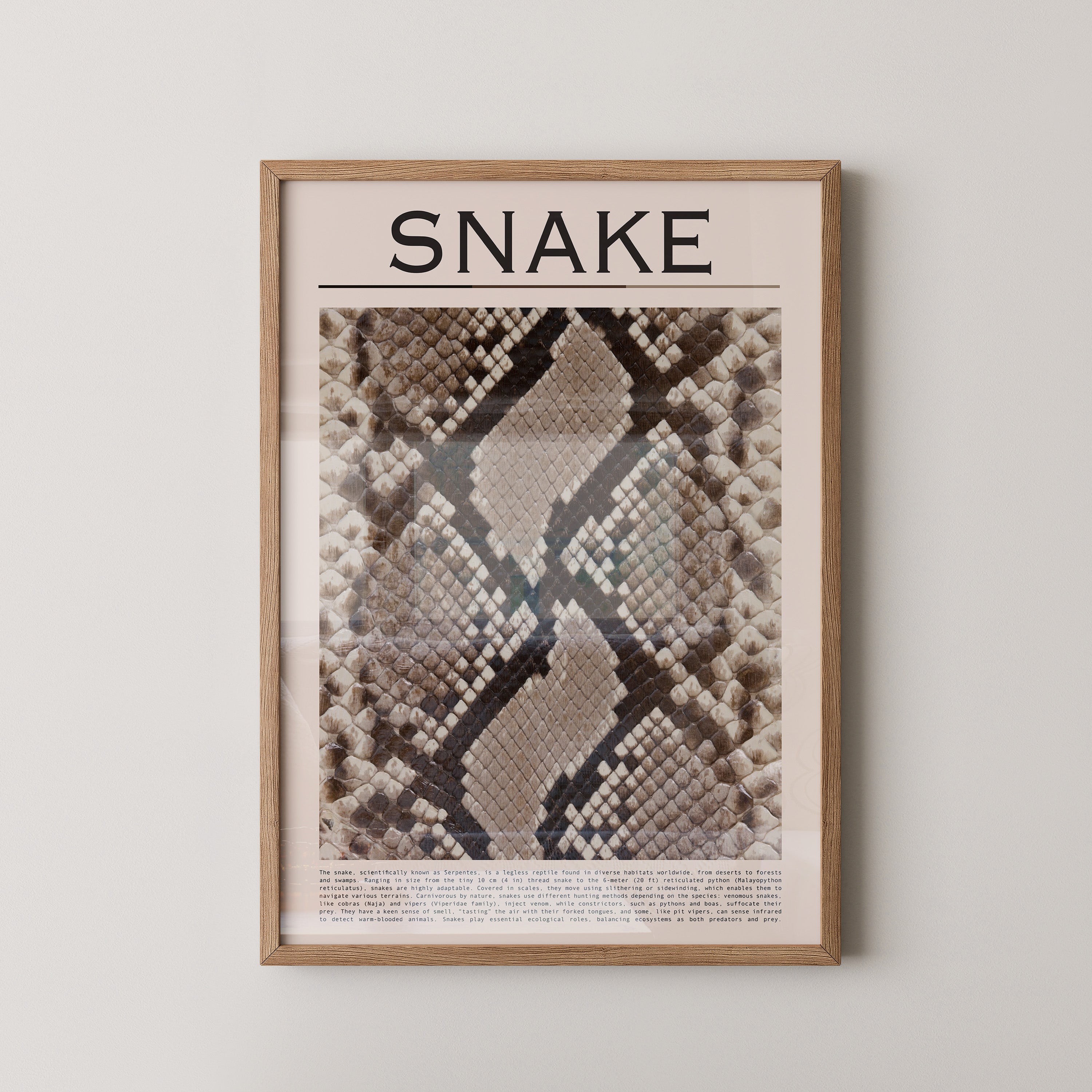 Schlangenmuster Braun Beige