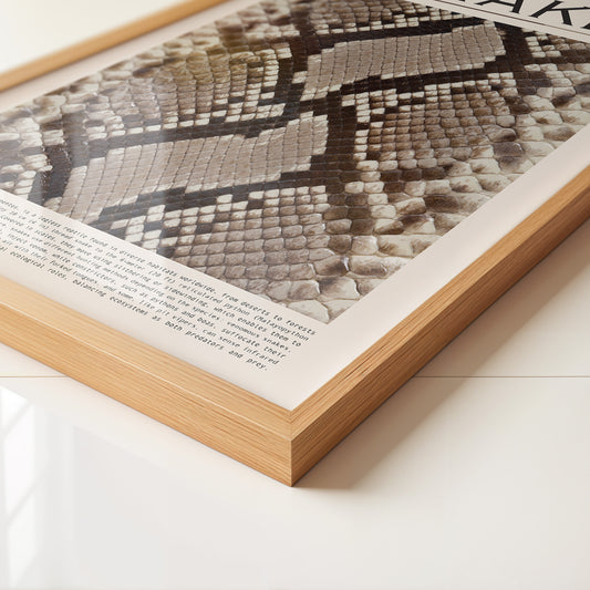 Schlangenmuster Braun Beige