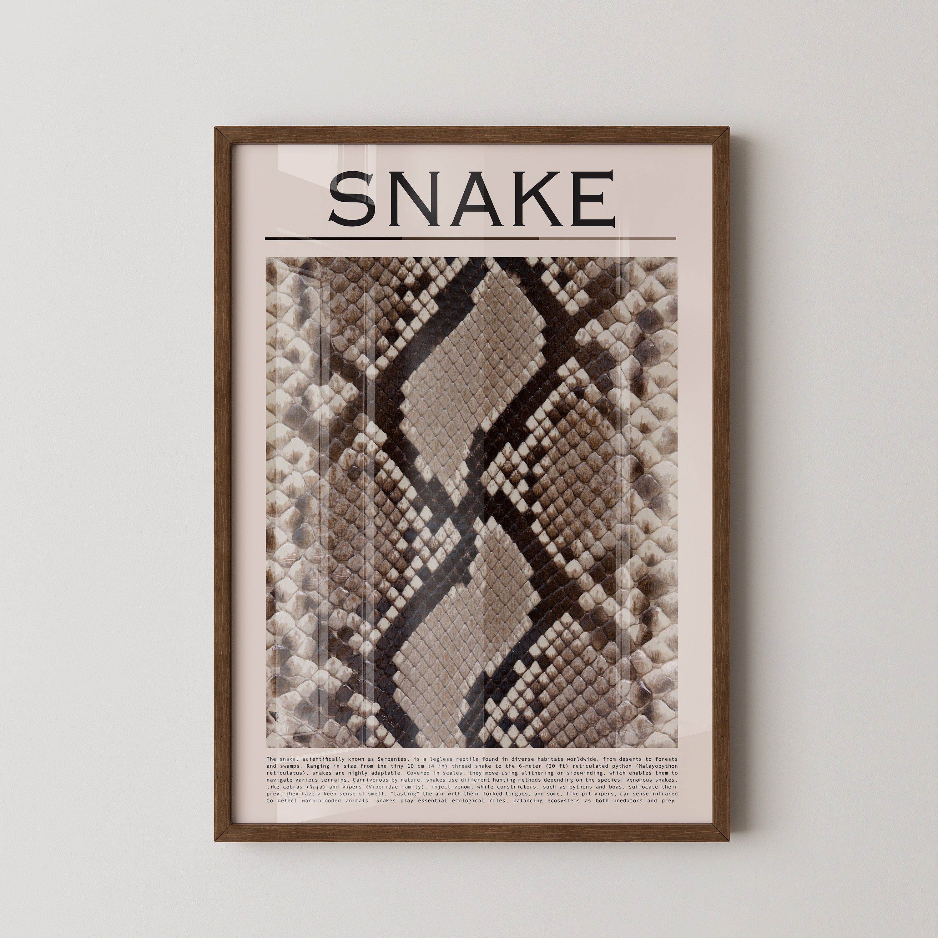 Schlangenmuster Braun Beige