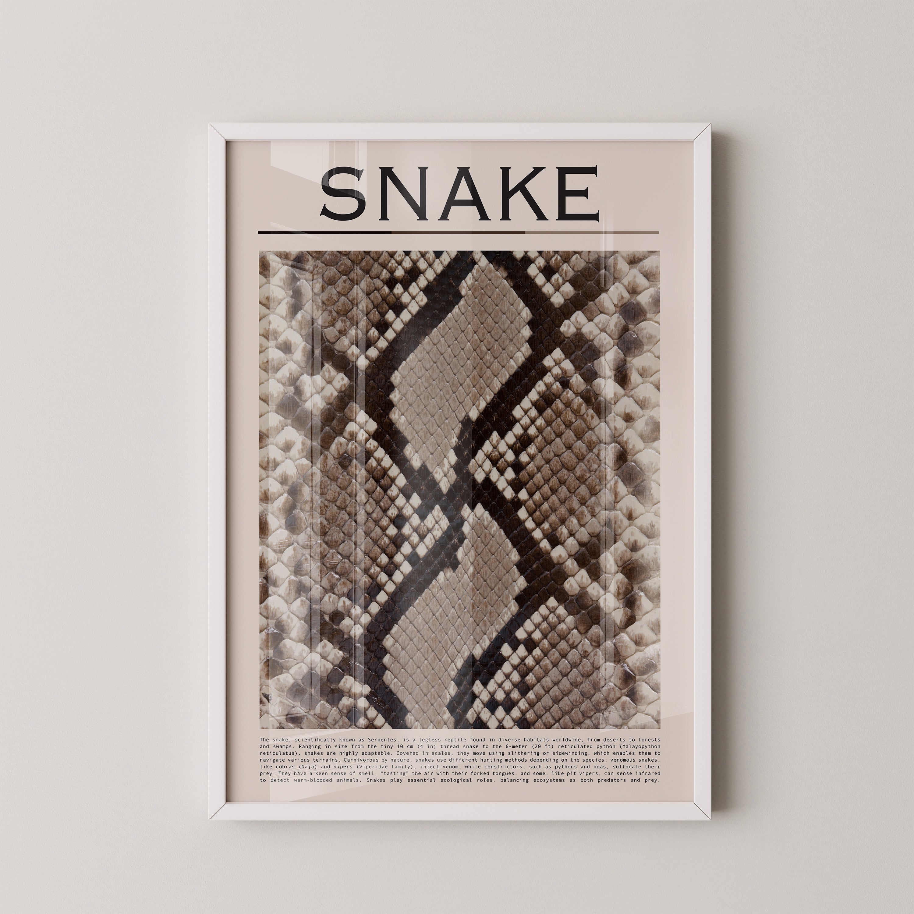 Schlangenmuster Braun Beige