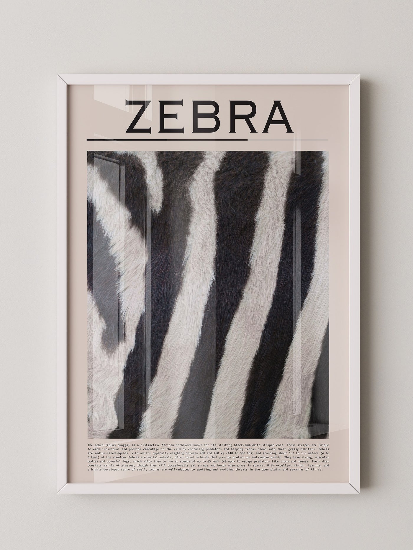 Zebrastreifen Felltextur