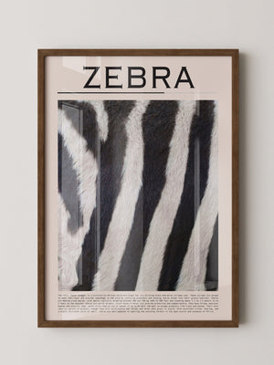 Zebrastreifen Felltextur