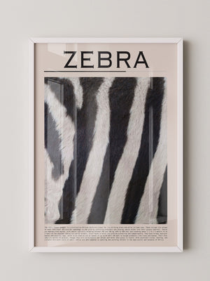 Zebrastreifen Felltextur
