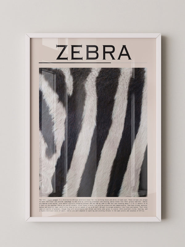 Zebrastreifen Felltextur