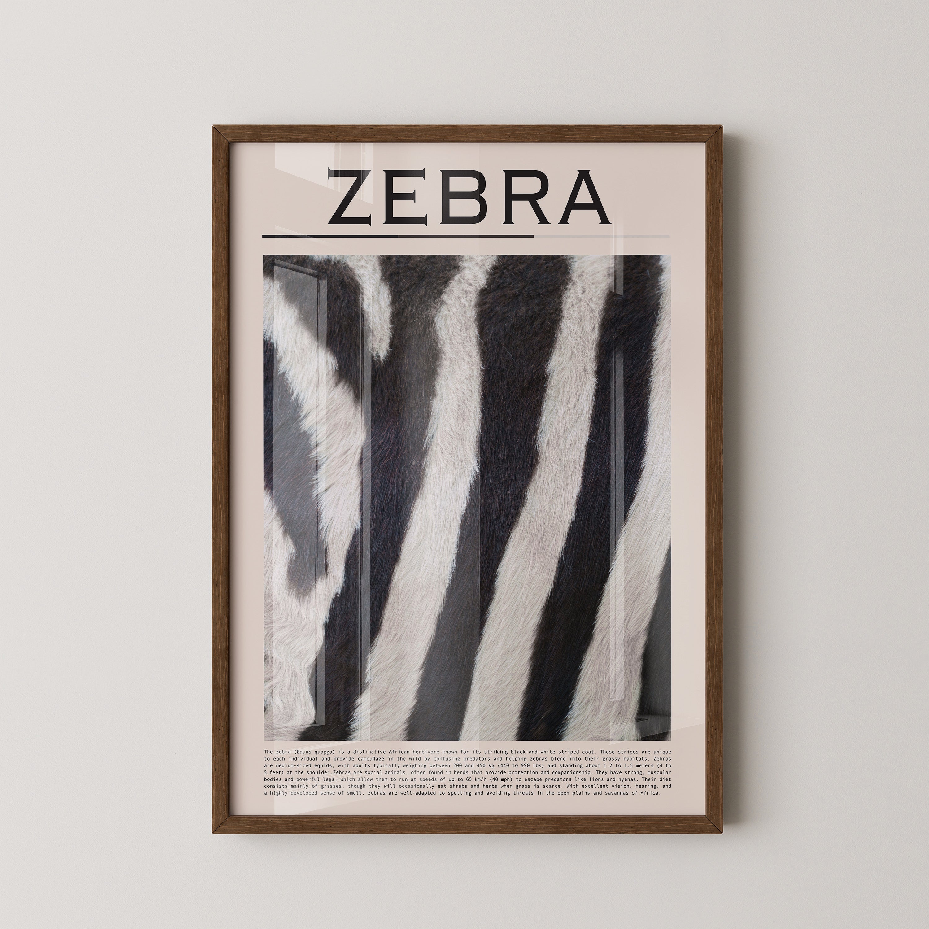 Zebrastreifen Felltextur